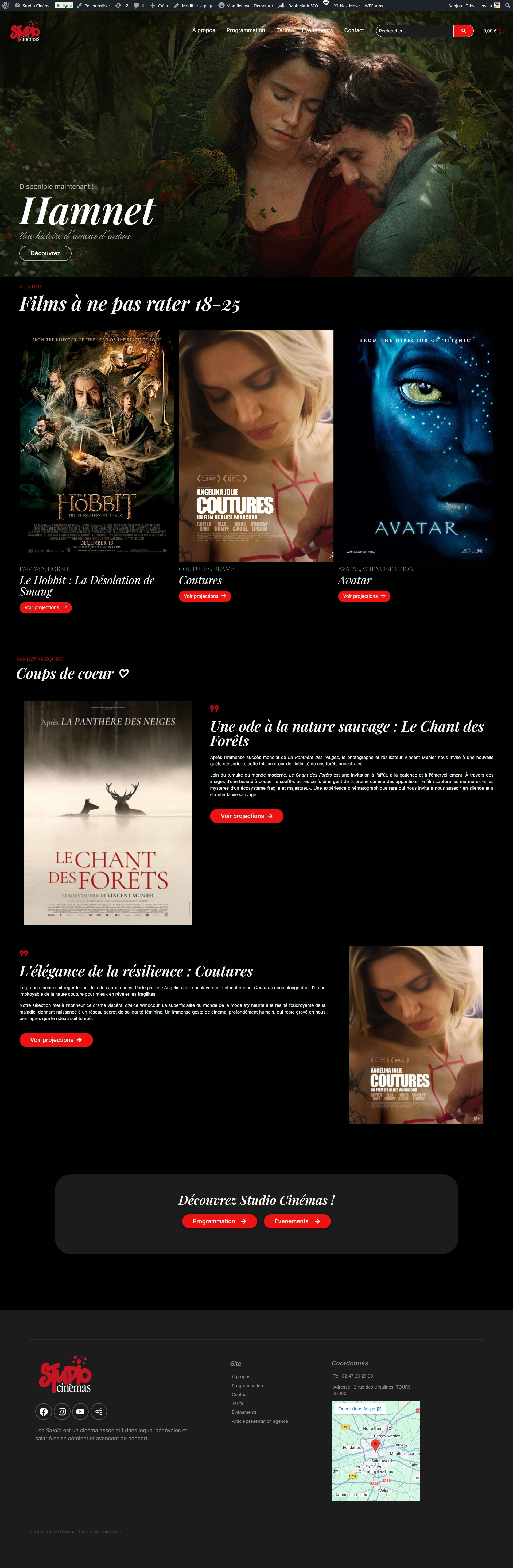 Aperçu du projet Site de Cinéma