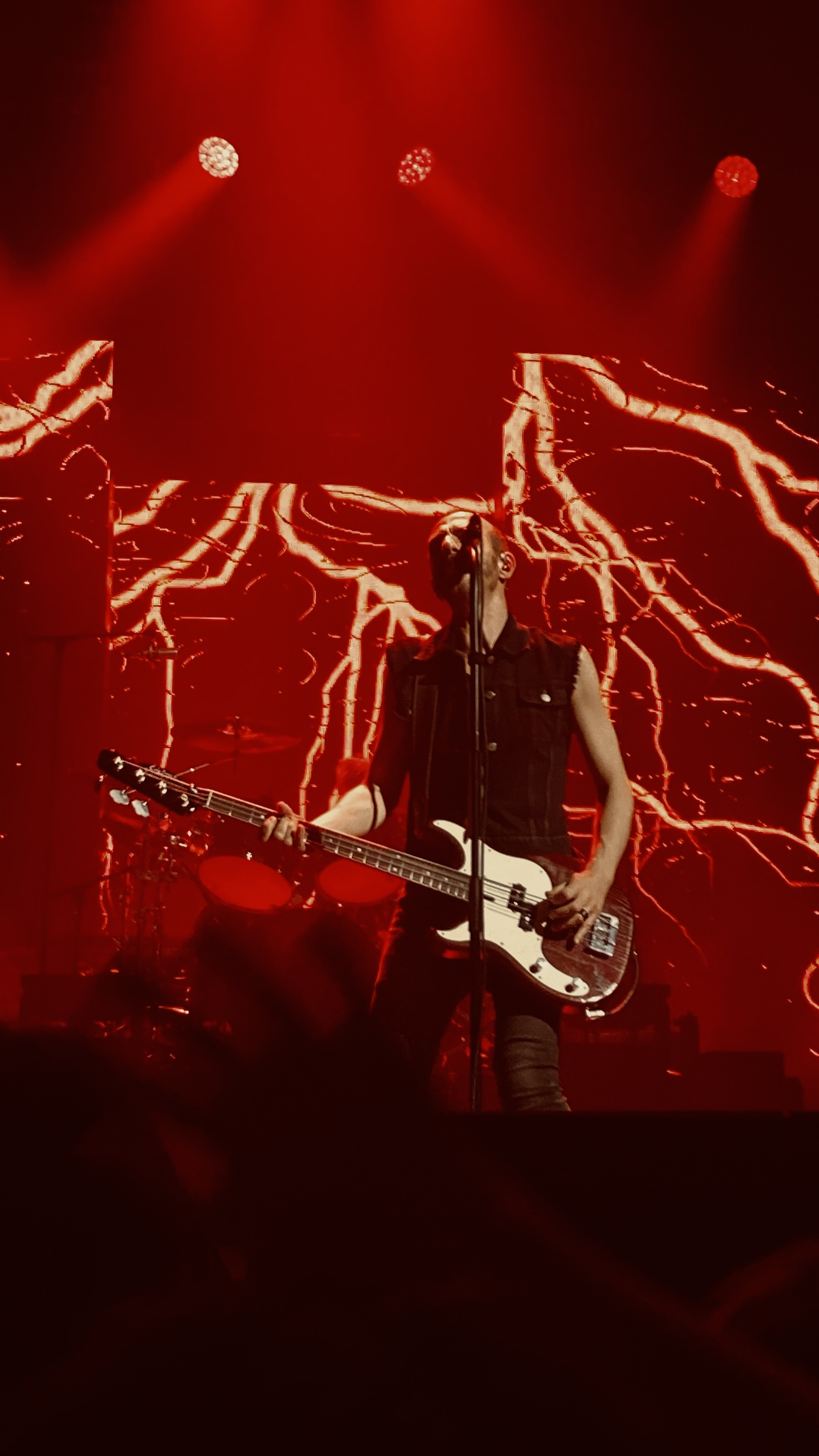 Photo de concert