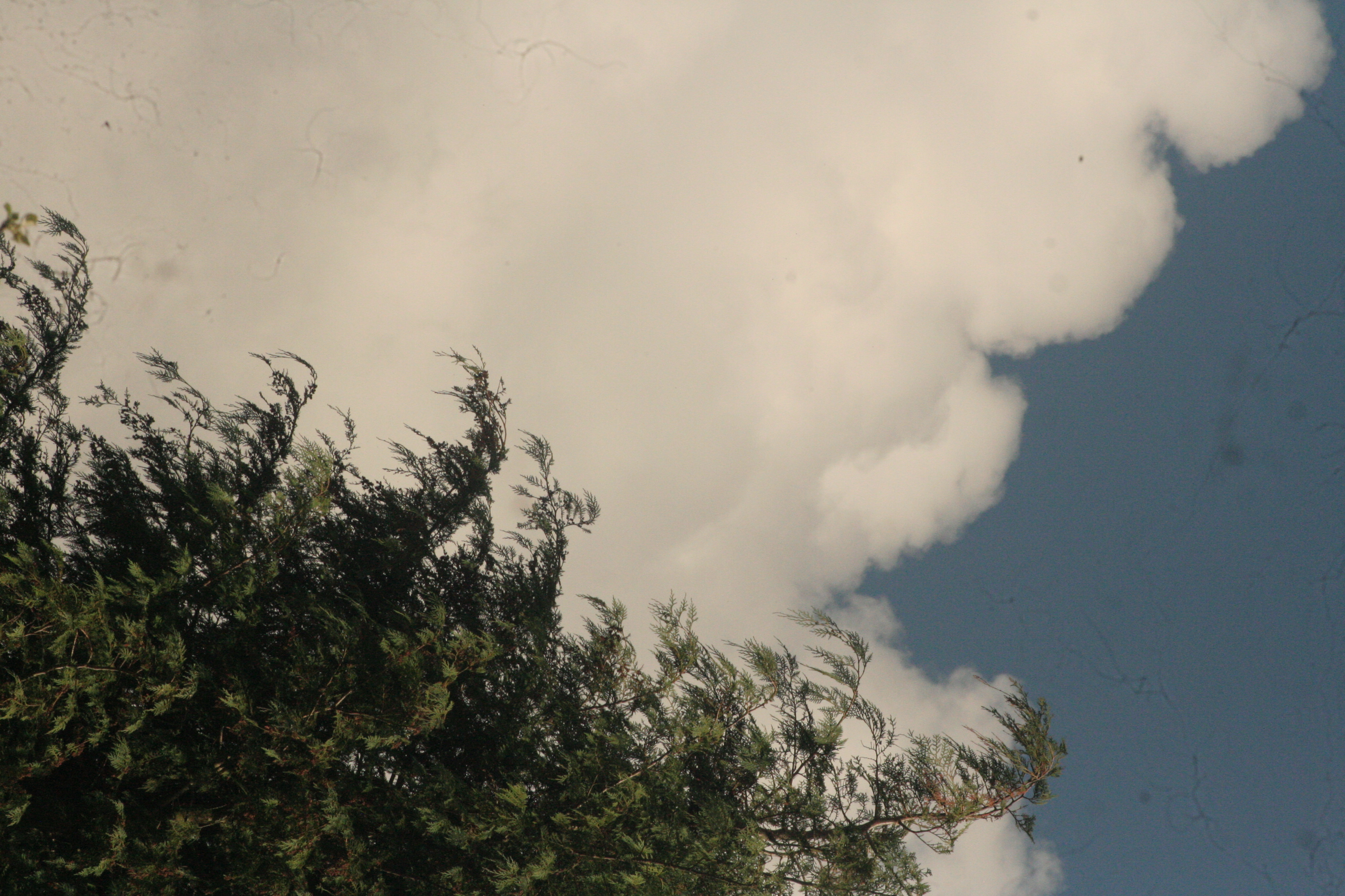 Paysage